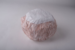 http://www.jasminesmail.co.uk/files/gimgs/th-18_Conker, 2020.jpg